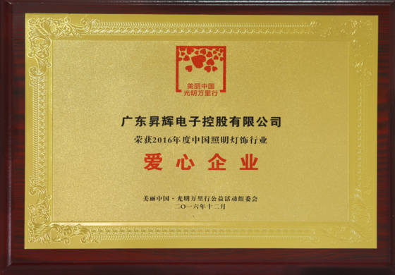 2016年度中國照明燈飾行業愛心企業